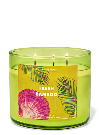 Fresh Bamboo 3-Wick candle - Bath & Body Works