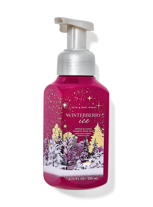 Foaming Hand Soap - Bath & Body Works