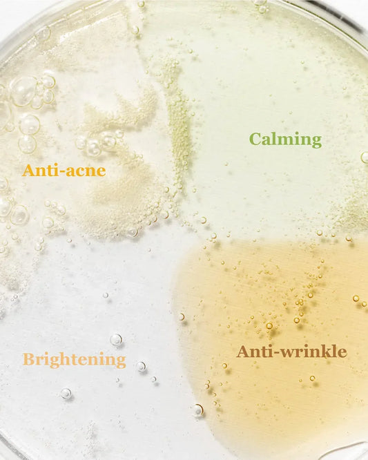 HandBag Serum Discovery Kit - Beauty of Joseon