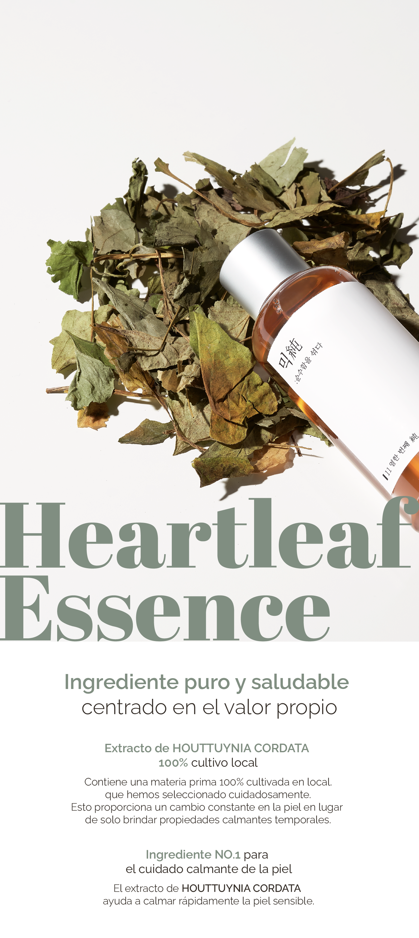 Heartleaf Essence - Mixsoon