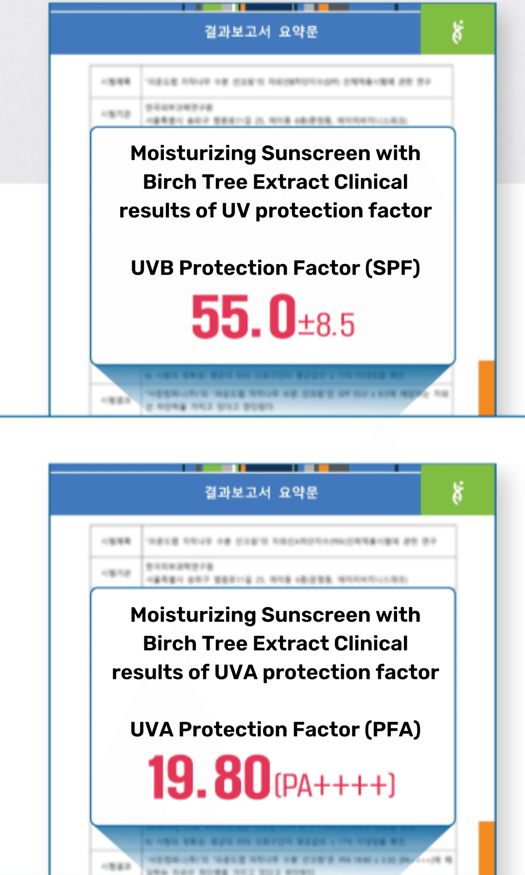 Birch Juice Moisturizing Sunscreen spf 50 + PA*** - Round Lab
