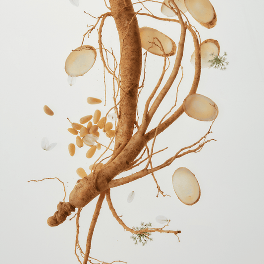 Ginseng Essence Water - Beauty of Joseon