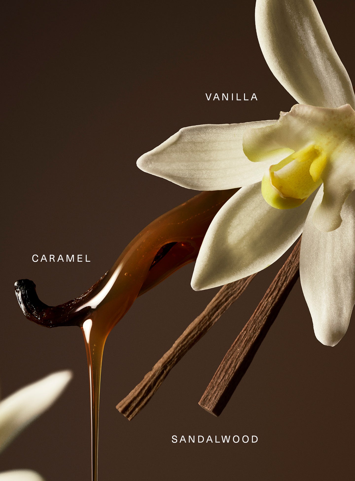 Eau De Parfum - Rare Beauty
