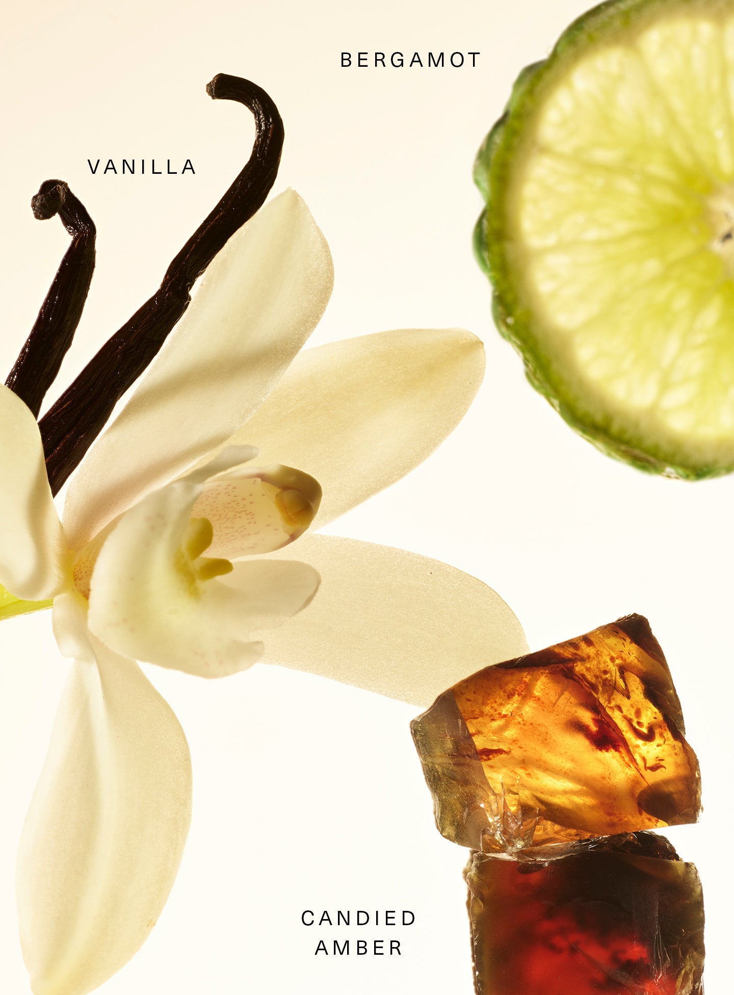 Fragance Layering Balm - Rare Beauty