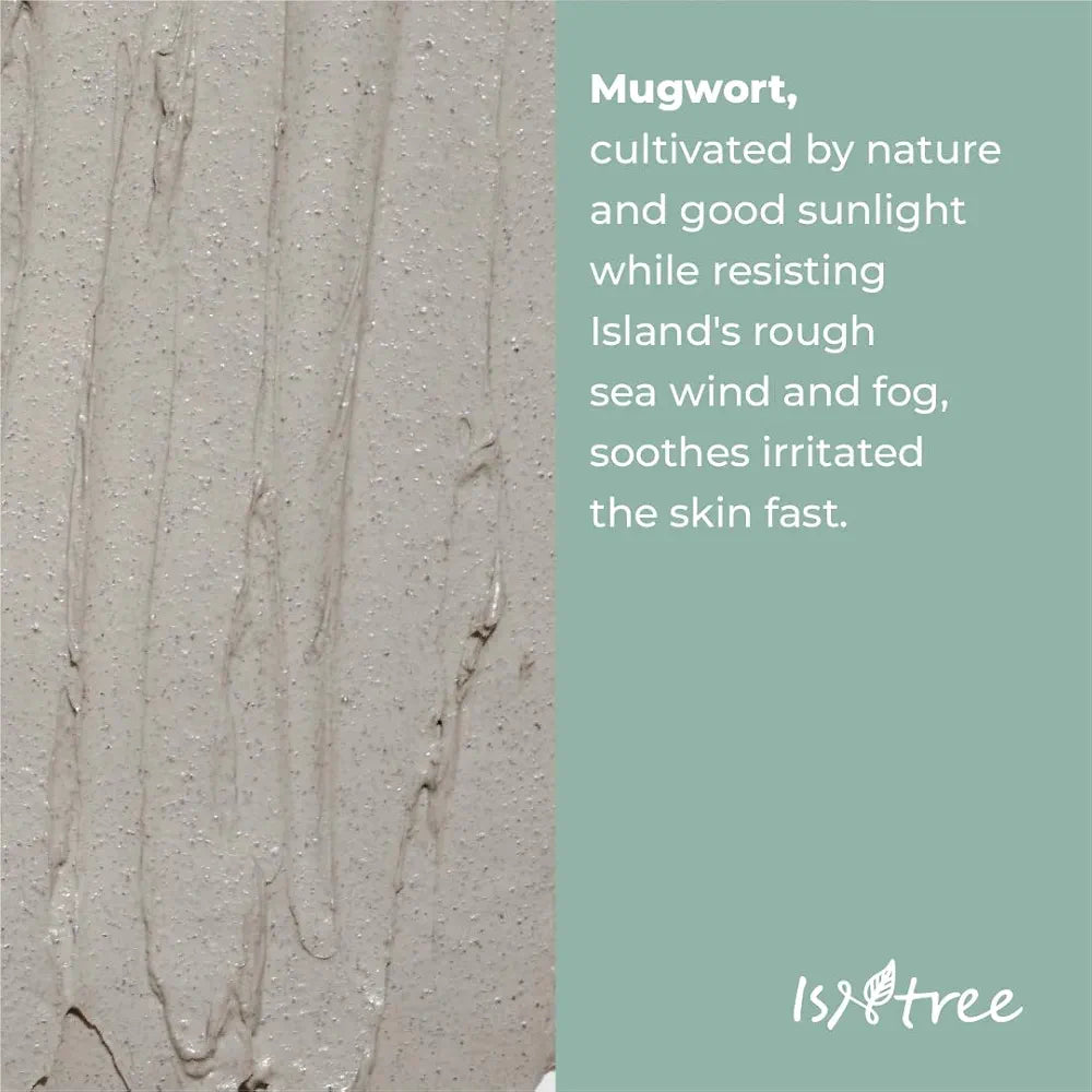 Mugwort Calming Clay Mask - Isntree