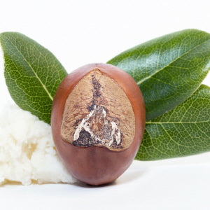 Shea  Butter And Coconut Hand Cream - Benton