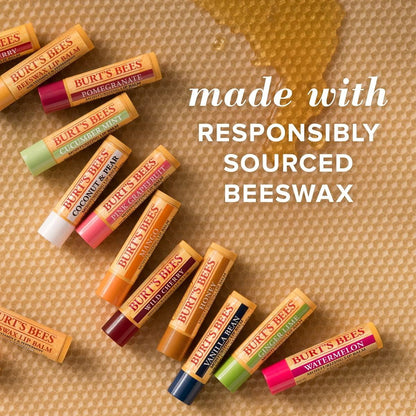 Moisturizing Lip Balm - Burt's Bees