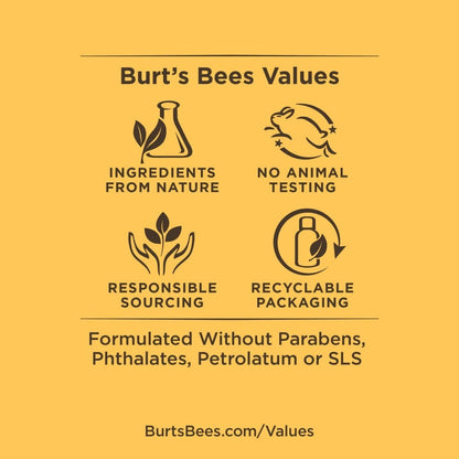 Moisturizing Lip Balm - Burt's Bees