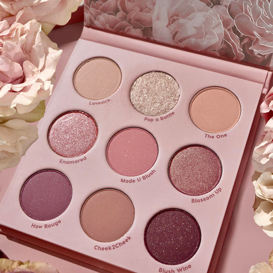 Blush Crush palette - Colourpop