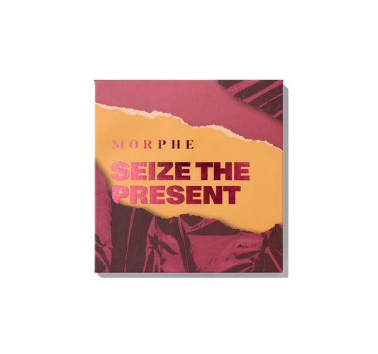 Palette Artistry Seize the present- Morphe