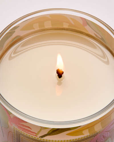 Coconut Piña Colada 1 Wick Candle - Bath & Body Works