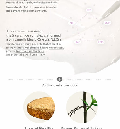 Black Rice 5 Ceramide Barrier Moisturizing Cream - Haruharu Wonder