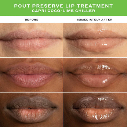 Passport To Chill Mini Pout Preserve Lip Set - Olehenricksen