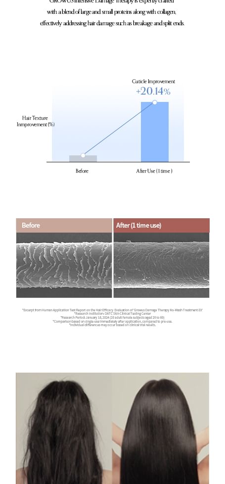 Damage Therapy No Wash Treatment Ex - Growus
