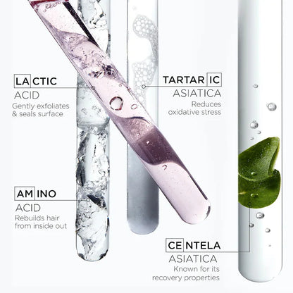 Chroma Absolu Hidrating Ptotective Shampoo System - Kérastase Paris