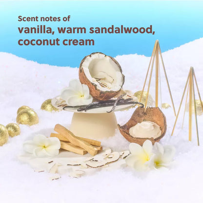 Mini Best Seller Kit - The Hut