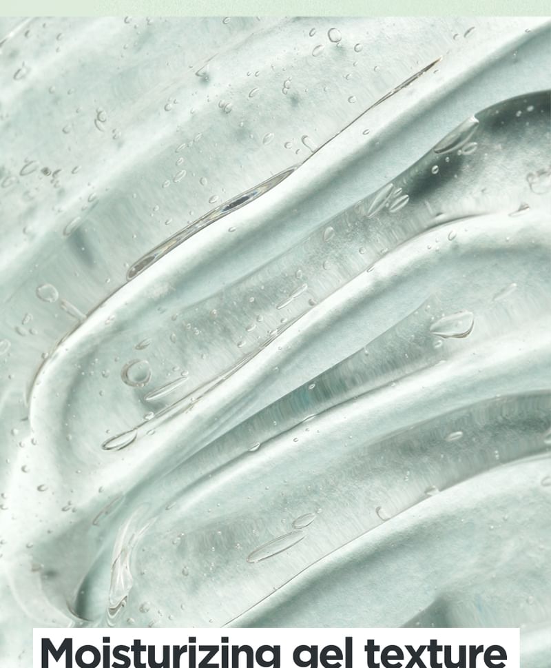 Aloe Soothing Gel Moisture Type - Isntree
