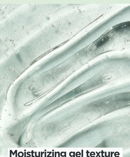 Aloe Soothing Gel Moisture Type - Isntree