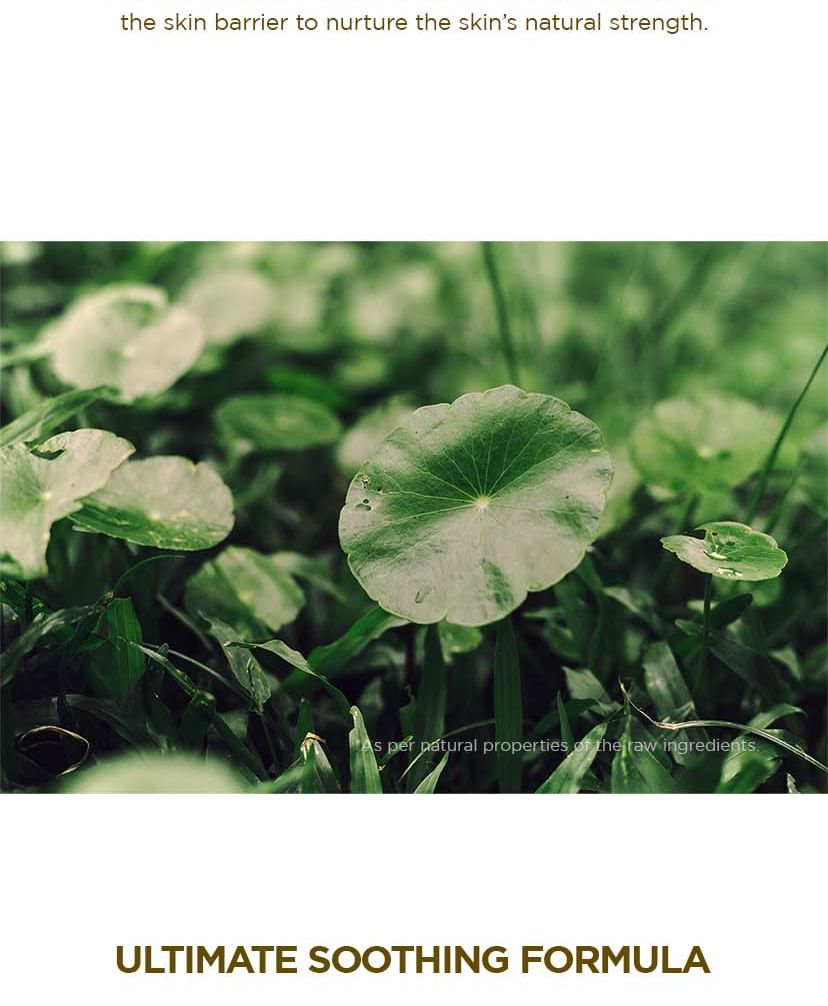 Madagascar Centella Air Fit Suncream Plus Spf 50+PA++++ - Skin1004