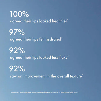 The Lip Butter Balm Minis Kit - Summer Fridays