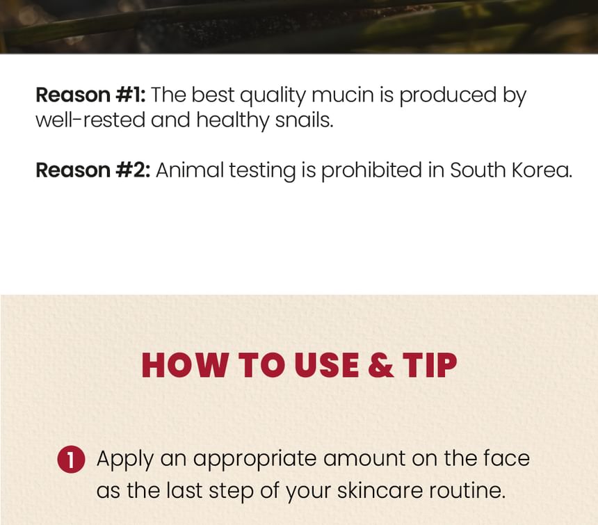 Seoul 1988 Snail Mucin 93%+Rice - K-Secret