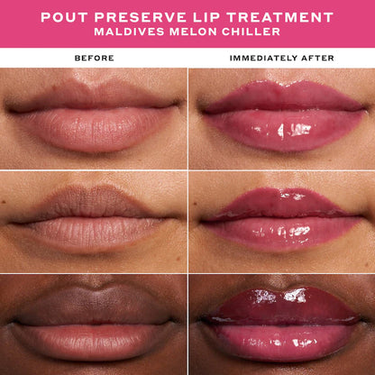 Passport To Chill Mini Pout Preserve Lip Set - Olehenricksen