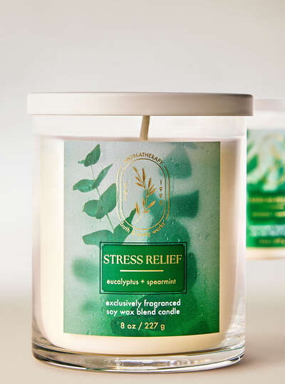 Stress Relief Eucalyptus+Spearmint 1 Wick Candle - Bath & Body Works