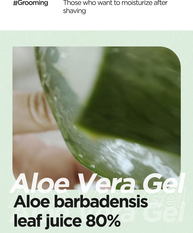 Aloe Soothing Gel Moisture Type - Isntree