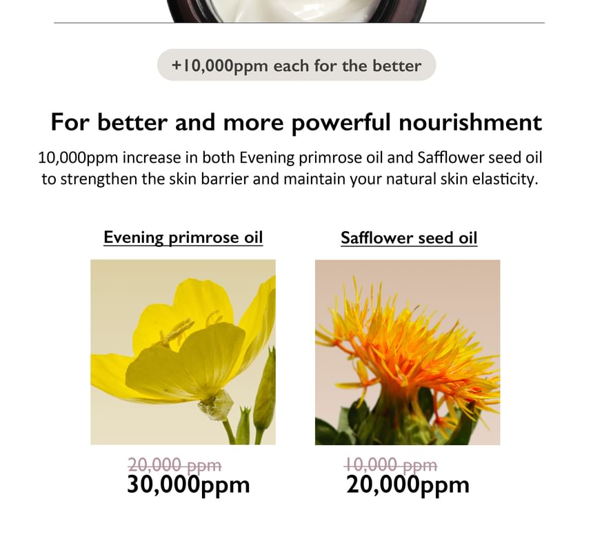 Black Rice 10 Hyaluronic Cream Unscented - Haruharu Wonder