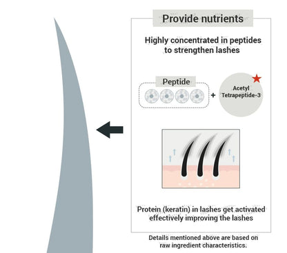 Han All Lash Serum - Rom&nd