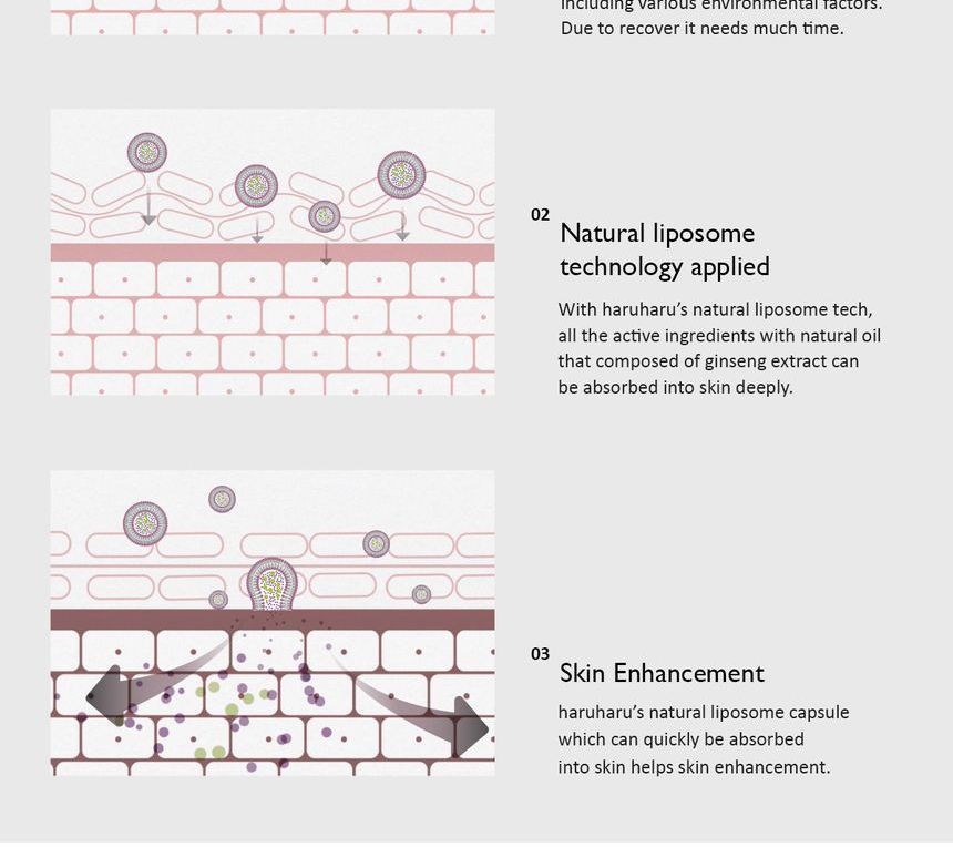 Black Rice Bakuchio Eye Cream - Haruharu Wonder