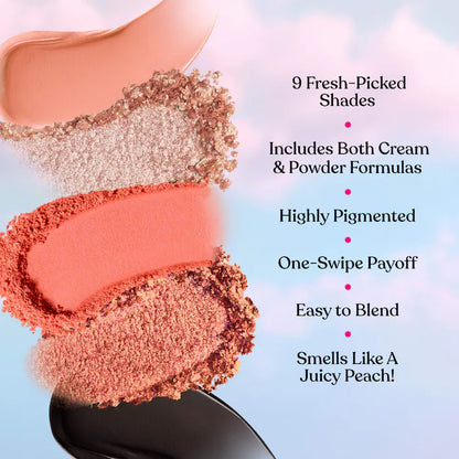 Eye Shadow Palette - Too Faced