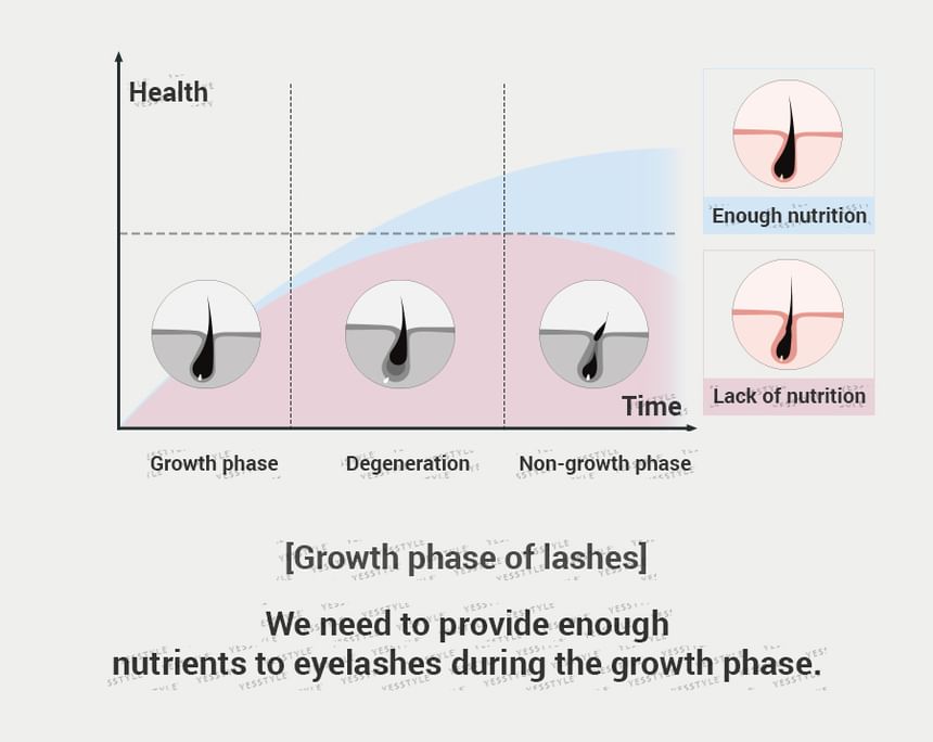 Han All Lash Serum - Rom&nd