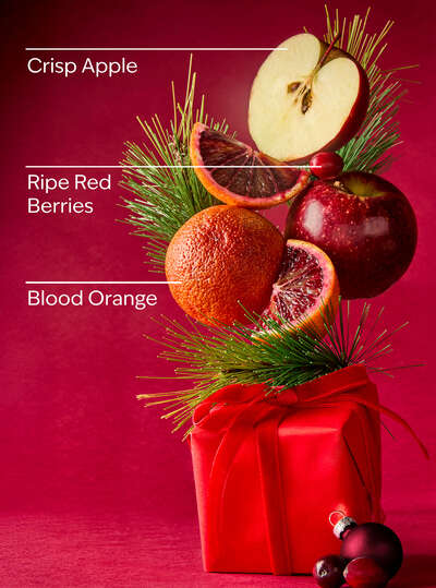 Bright Christmas Morning 3 Wick Candle - Bath & Body Works