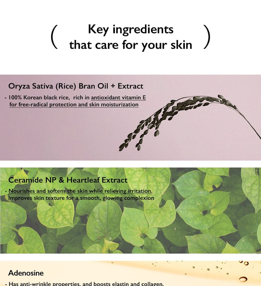 Black Rice Moisture Aryfit Daily Sunscreen Spf 50+PA - Haruharu Wonder