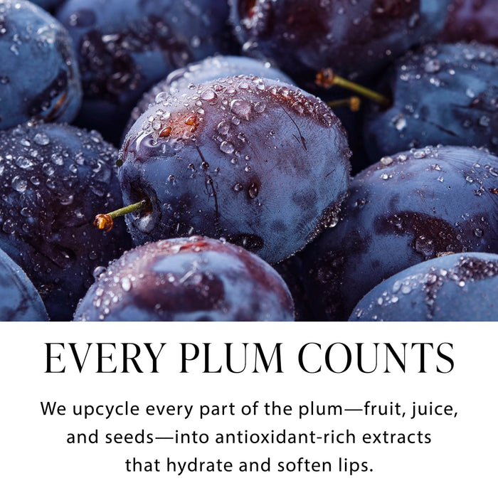 Limited Edition Sugar Plum Shimmer Lip Oil - Byroy New York