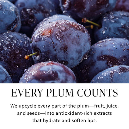 Limited Edition Sugar Plum Shimmer Lip Oil - Byroy New York