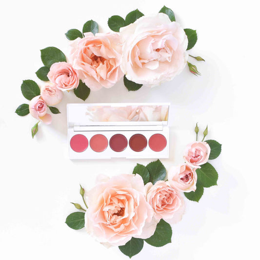 Rhubarb + Rose-Creamy lip & cheek palette  Seraphine botanicals