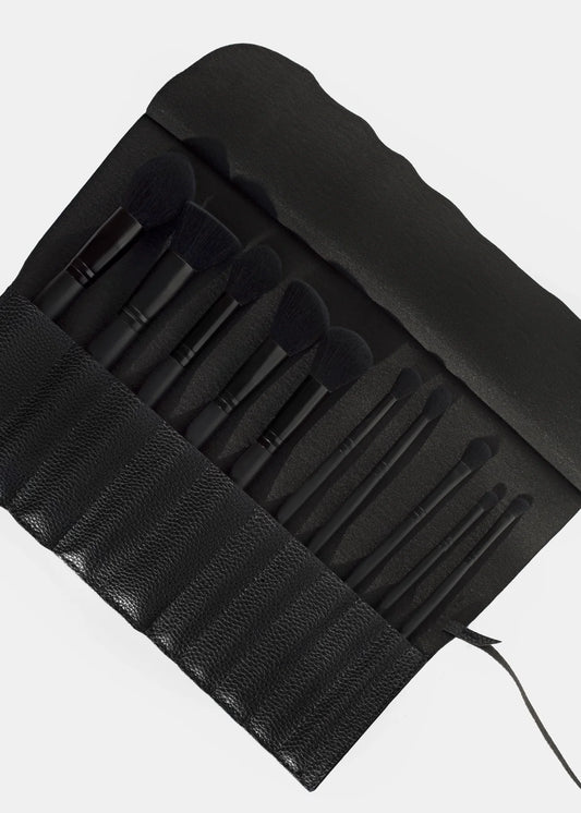 Plush Faux Mink 10pcs Brush set- AOA