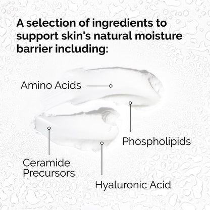 Natural Moisturizing Factors + HA The Ordinary