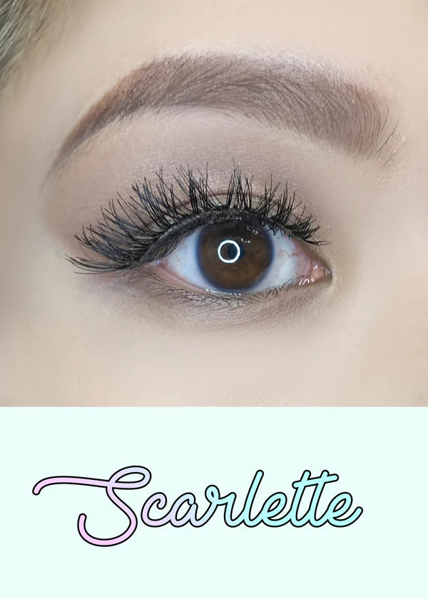 Natural Lashes 6-pack AOA