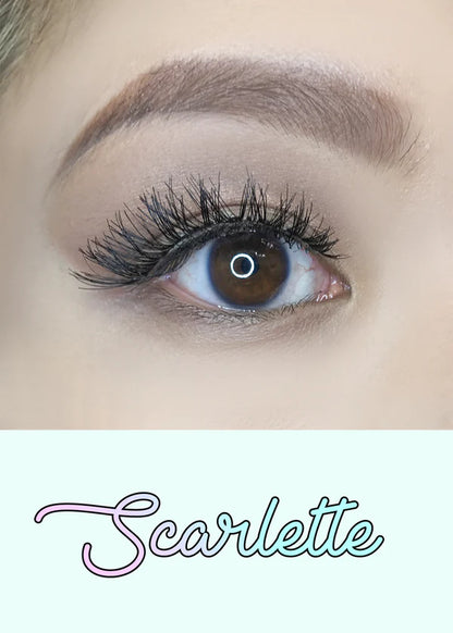 Natural Lashes 6-pack AOA